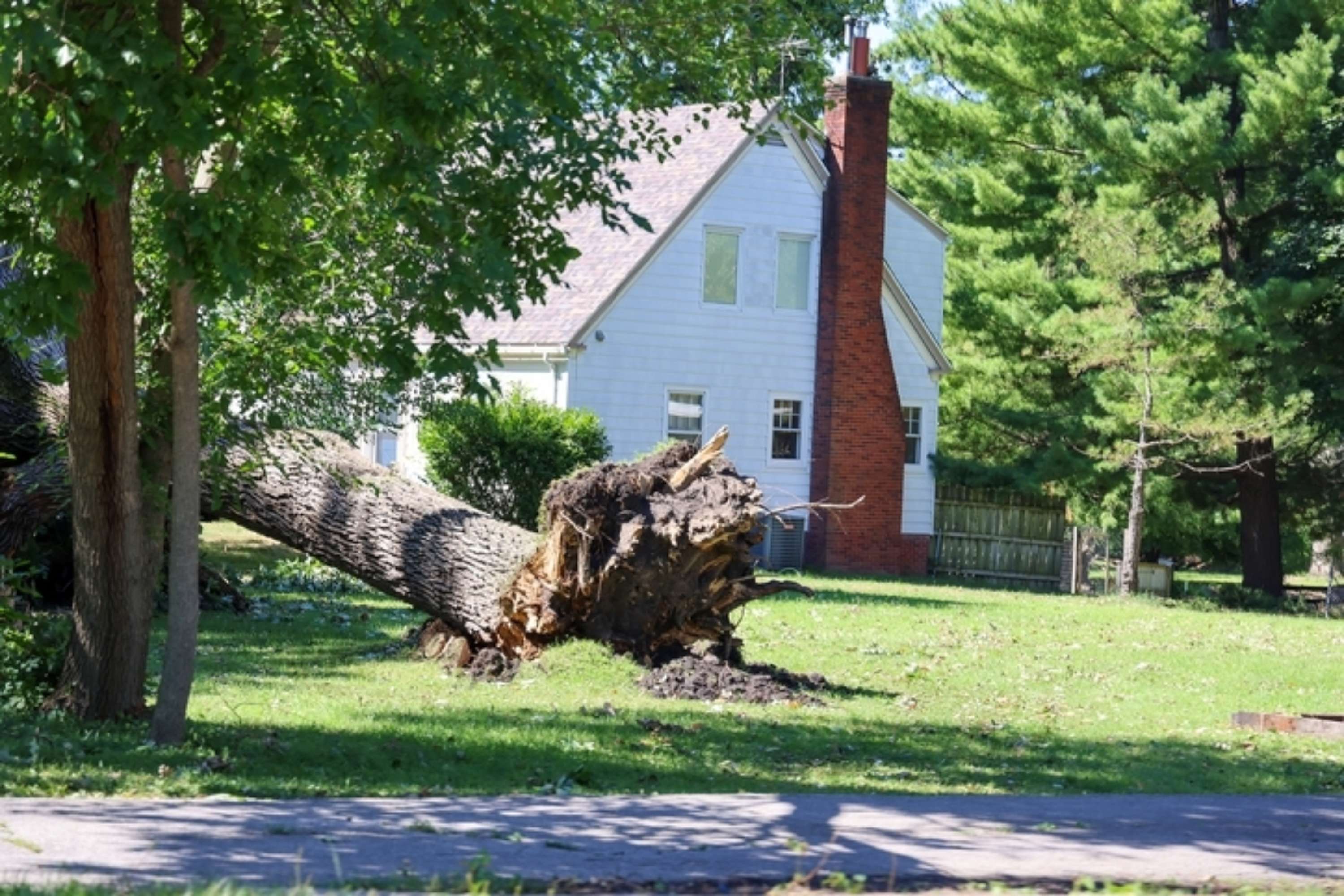 US Midwest Corn Belt: 100mph 'Derecho' Winds, Substantial Loss ...